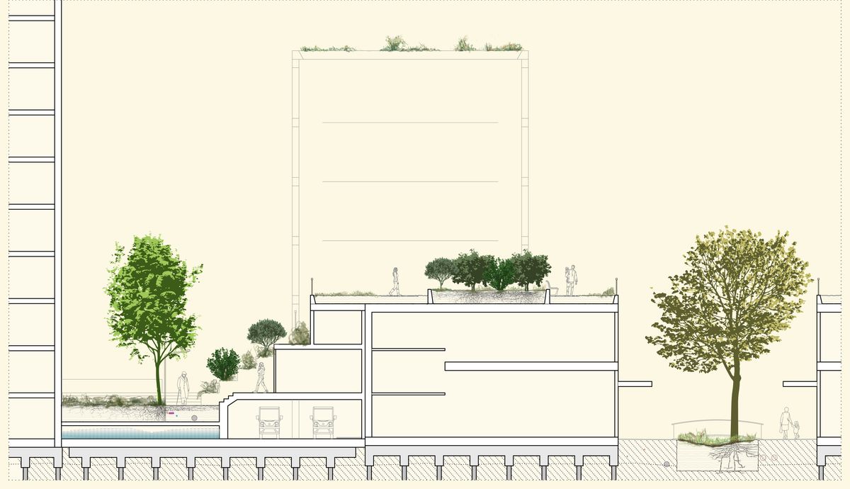 section along the Korte Lijnbaan, with trees and bushes, and added water storage